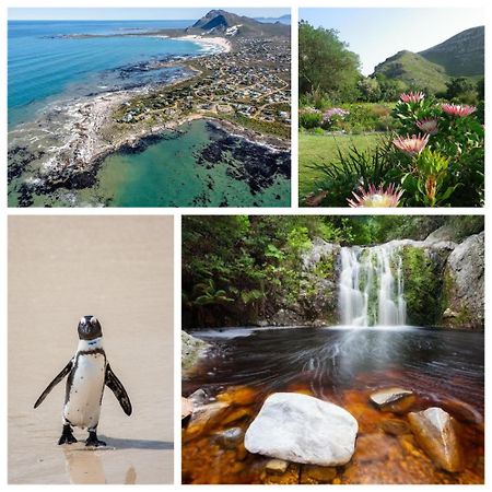 Silverdunes - Seaview Bettys Bay Luaran gambar